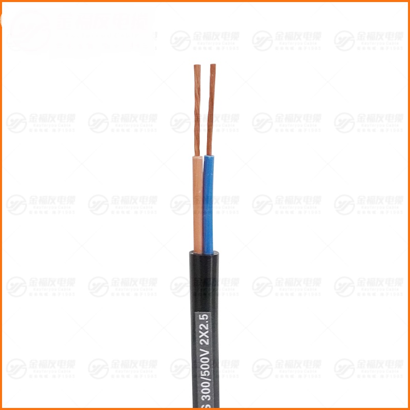 JHS防水橡套电缆 300-500V 2X2.5